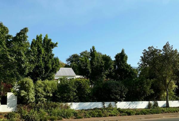 Winterson En Somerkoelte Swellendam Exterior photo